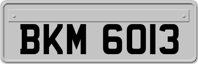 BKM6013