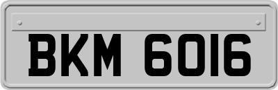 BKM6016