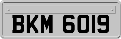 BKM6019