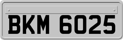 BKM6025