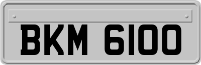BKM6100