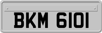 BKM6101