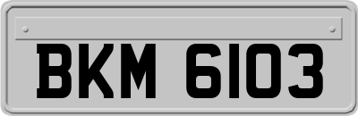 BKM6103