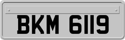 BKM6119