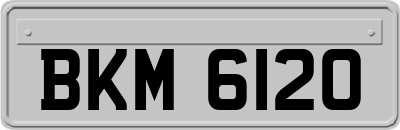 BKM6120