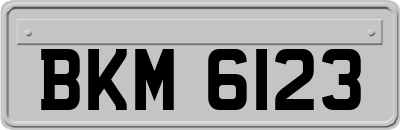 BKM6123