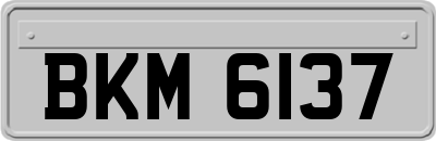 BKM6137