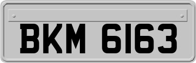 BKM6163