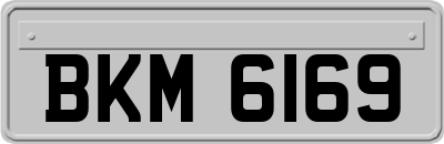 BKM6169