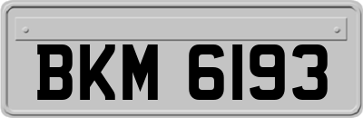 BKM6193