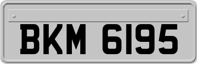 BKM6195