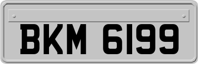 BKM6199
