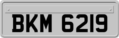 BKM6219