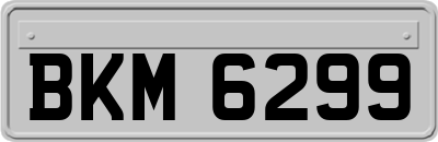 BKM6299
