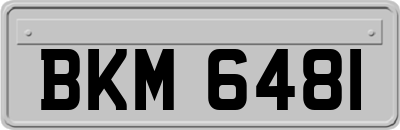 BKM6481