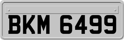 BKM6499