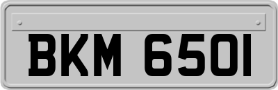 BKM6501
