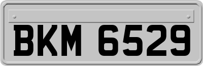 BKM6529