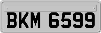 BKM6599