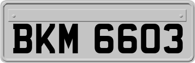 BKM6603