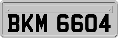 BKM6604