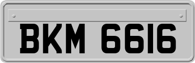 BKM6616