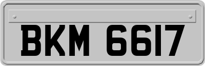 BKM6617