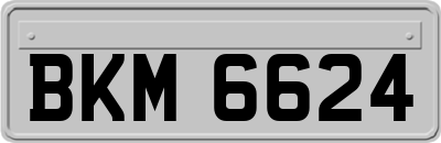 BKM6624