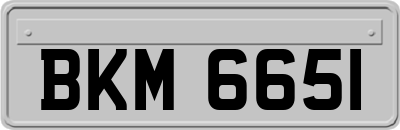 BKM6651