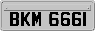 BKM6661