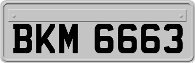 BKM6663