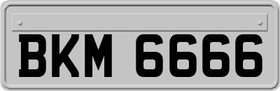 BKM6666