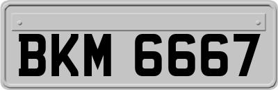 BKM6667
