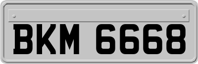 BKM6668