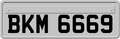 BKM6669