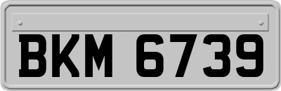 BKM6739