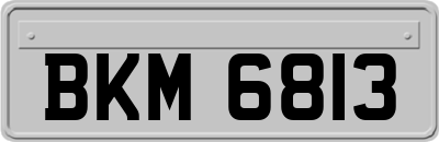 BKM6813