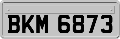 BKM6873
