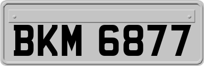 BKM6877