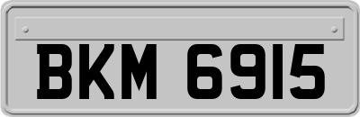BKM6915