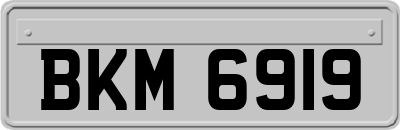 BKM6919