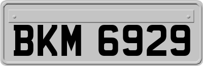 BKM6929