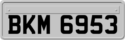 BKM6953