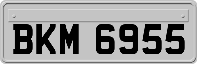 BKM6955