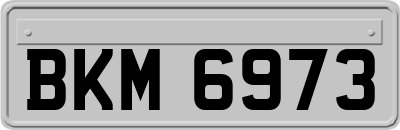 BKM6973