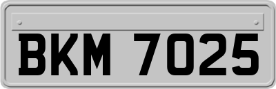 BKM7025
