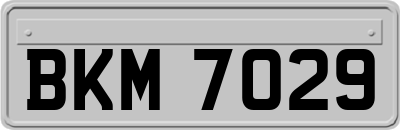 BKM7029