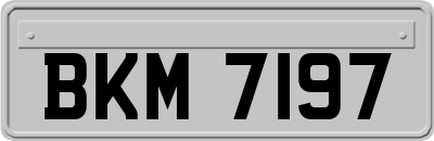 BKM7197