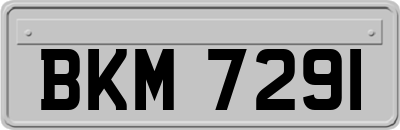 BKM7291