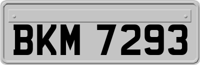BKM7293